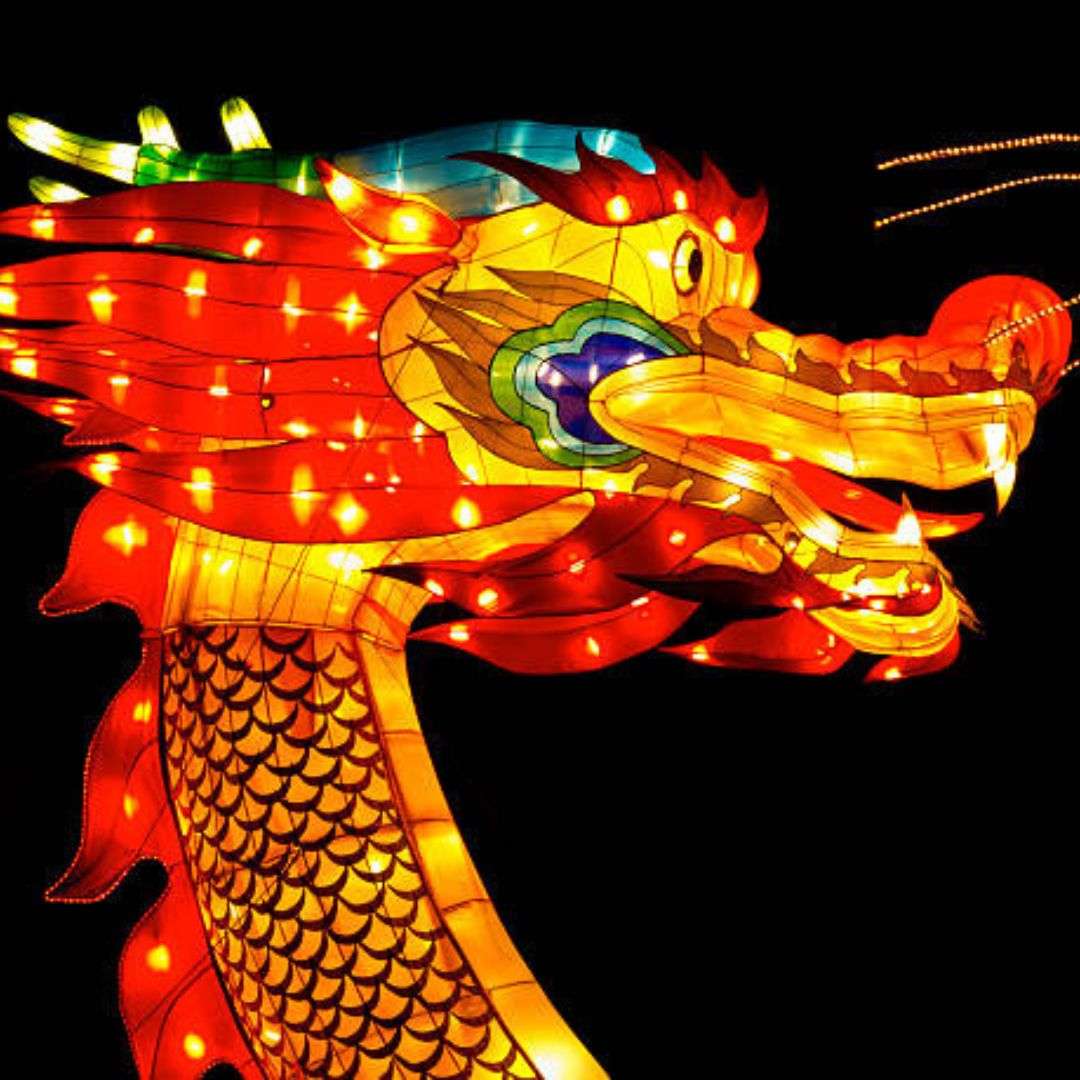 Hire LED Dragon in Dubai and Abu Dhabi!