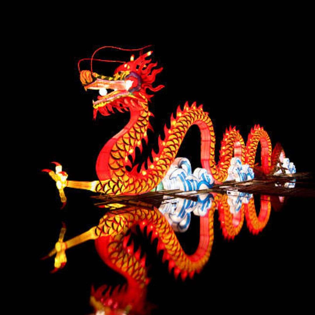 Hire LED Dragon in Dubai and Abu Dhabi!